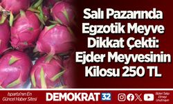 Salı Pazarında Egzotik Meyve Dikkat Çekti: Ejder Meyvesinin Kilosu 250 TL
