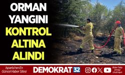 ORMAN YANGINI KONTROL ALTINA ALINDI