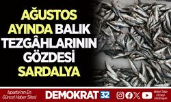 AĞUSTOS AYINDA BALIK TEZGÂHLARININ GÖZDESİ SARDALYA