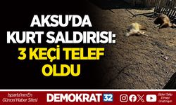 AKSU'DA KURT SALDIRISI: 3 KEÇİ TELEF OLDU