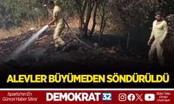 ALEVLER BÜYÜMEDEN SÖNDÜRÜLDÜ