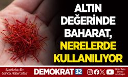 ALTIN DEĞERİNDE BAHARAT, NERELERDE KULLANILIYOR?