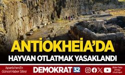 ANTİOKHEİA’DA HAYVAN OTLATMAK YASAKLANDI