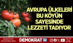 AVRUPA ÜLKELERİ BU KÖYÜN SAYESİNDE LEZZETİ TADIYOR