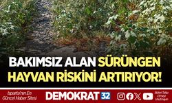 BAKIMSIZ ALAN SÜRÜNGEN HAYVAN RİSKİNİ ARTIRIYOR!