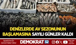 DENİZLERDE AV SEZONUNUN BAŞLAMASINA SAYILI GÜNLER KALDI