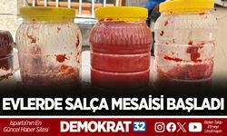 Evlerde Salça Mesaisi Başladı