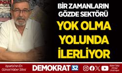 BİR ZAMANLARIN GÖZDE SEKTÖRÜ YOK OLMA YOLUNDA İLERLİYOR