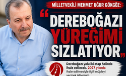 GÖKGÖZ: “DEREBOĞAZI YÜREĞİMİ SIZLATIYOR”