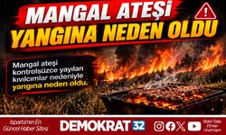 MANGAL ATEŞİ YANGINA NEDEN OLDU