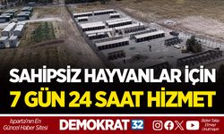 SAHİPSİZ HAYVANLAR İÇİN 7 GÜN 24 SAAT HİZMET