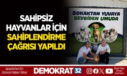 SAHİPSİZ HAYVANLAR İÇİN SAHİPLENDİRME ÇAĞRISI YAPILDI