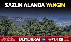SAZLIK ALANDA YANGIN