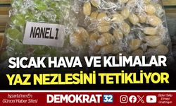 SICAK HAVA VE KLİMALAR YAZ NEZLESİNİ TETİKLİYOR