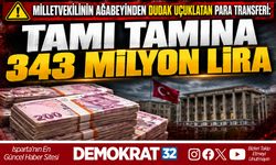 TAMI TAMINA 343 MİLYON LİRA