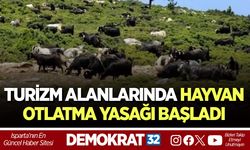 TURİZM ALANLARINDA HAYVAN OTLATMA YASAĞI BAŞLADI