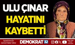 ULU ÇINAR HAYATINI KAYBETTİ