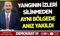 YANGININ İZLERİ SİLİNMEDEN AYNI BÖLGEDE ANIZ YAKILDI