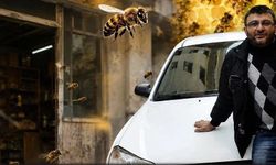 EŞEK ARILARINDAN KAÇARKEN HAYATINI KAYBETTİ