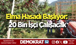 Elma Hasadı Başlıyor: 20 Bin İşçi Çalışacak