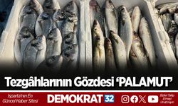 Tezgâhlarının Gözdesi ‘PALAMUT’