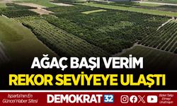 AĞAÇ BAŞI VERİM REKOR SEVİYEYE ULAŞTI