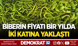 BİBERİN FİYATI BİR YILDA İKİ KATINA YAKLAŞTI