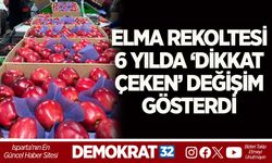 ELMA REKOLTESİ, 6 YILDA ‘DİKKAT ÇEKEN’ DEĞİŞİM GÖSTERDİ