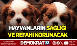HAYVANLARIN SAĞLIĞI VE REFAHI KORUNACAK