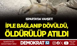 ISPARTA’DA VAHŞET! İPLE BAĞLANIP DÖVÜLDÜ, ÖLDÜRÜLÜP ATILDI