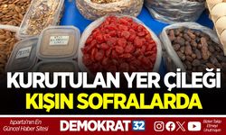 KURUTULAN YER ÇİLEĞİ KIŞIN SOFRALARDA