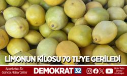 LİMONUN KİLOSU 70 TL’YE GERİLEDİ