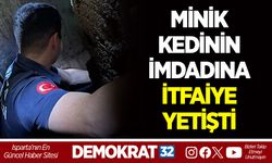 MİNİK KEDİNİN İMDADINA İTFAİYE YETİŞTİ