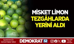 MİSKET LİMON TEZGÂHLARDA YERİNİ ALDI