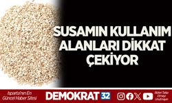 SUSAMIN KULLANIM ALANLARI DİKKAT ÇEKİYOR