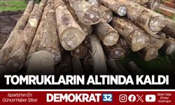 TOMRUKLARIN ALTINDA KALDI
