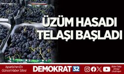 ÜZÜM HASADI TELAŞI BAŞLADI