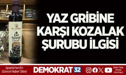 YAZ GRİBİNE KARŞI KOZALAK ŞURUBU İLGİSİ