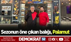 Sezonun öne çıkan balığı, Palamut