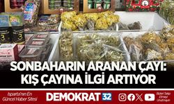 SONBAHARIN ARANAN ÇAYI: KIŞ ÇAYINA İLGİ ARTIYOR
