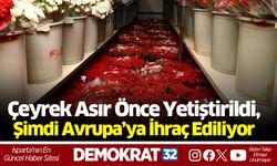 Çeyrek Asır Önce Yetiştirildi, Şimdi Avrupa’ya İhraç Ediliyor