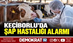 KEÇİBORLU’DA ŞAP HASTALIĞI ALARMI