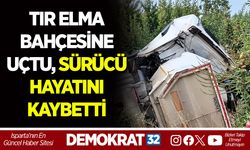 TIR ELMA BAHÇESİNE UÇTU, SÜRÜCÜ HAYATINI KAYBETTİ