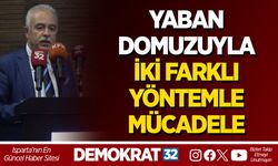 YABAN DOMUZUYLA İKİ FARKLI YÖNTEMLE MÜCADELE