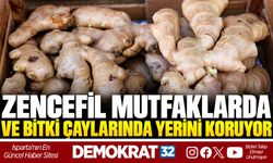 ZENCEFİL MUTFAKLARDA VE BİTKİ ÇAYLARINDA YERİNİ KORUYOR