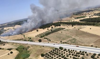 Çanakkale'de Korkutan Yangın!