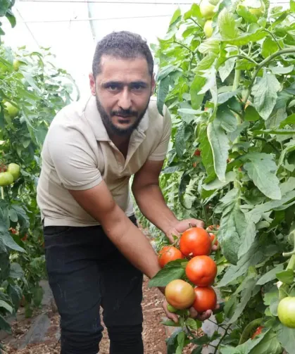 Domates Üretiminde Biyolojik Mücadele Başarı Getirdi