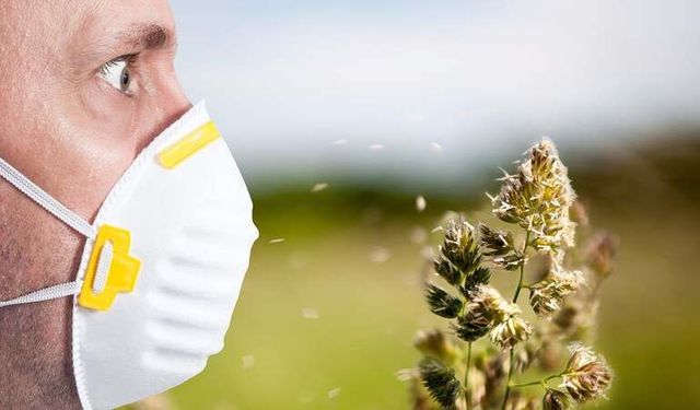 Türkiye’ye Polen Uyarısı Cuma ve Cumartesi Normallerin 250 Katı