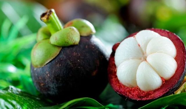 Egzotik Mangosten: “Meyvelerin Kraliçesi” Sağlık Açısından Bir Hazine Sunuyor