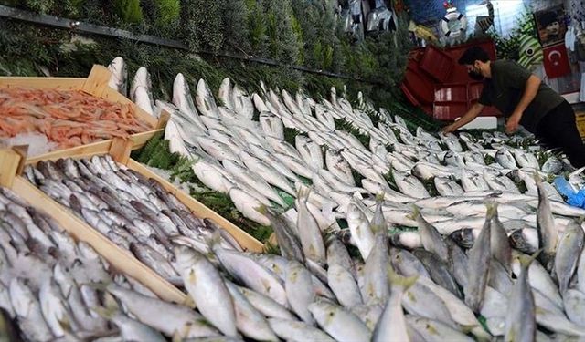 45 Yaş Üstü İçin En Faydalı Balık: Somon Değil Ringa